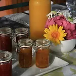 Panzió Les Fleurs Du Parc