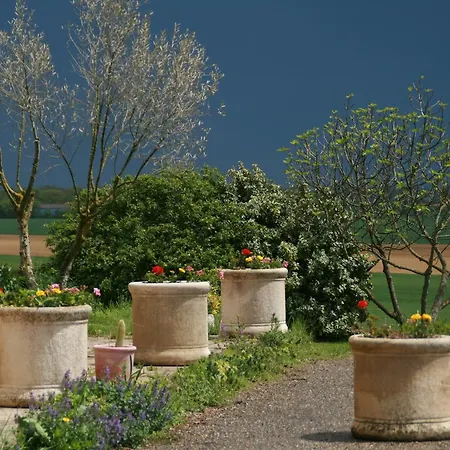 Les Fleurs Du Parc Mansempuy