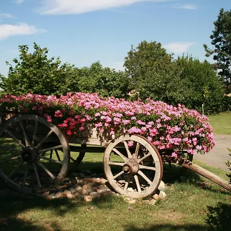 Bed & Breakfast Les Fleurs Du Parc *