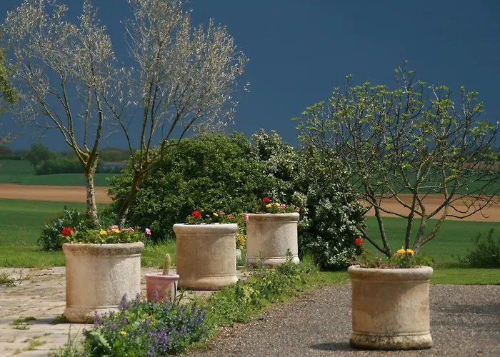 Les Fleurs Du Parc Mansempuy